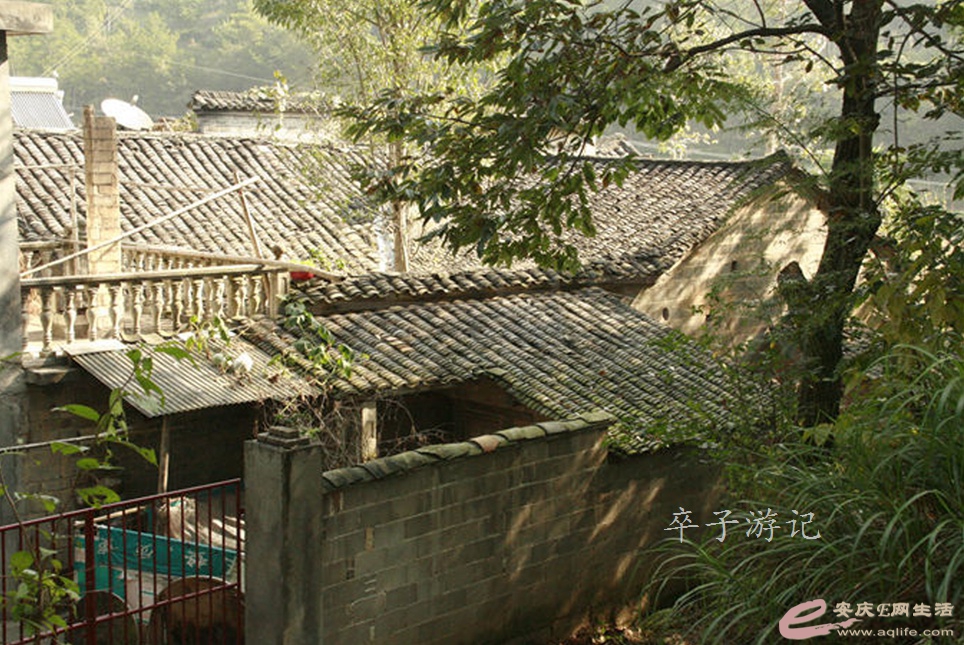 01.jpg