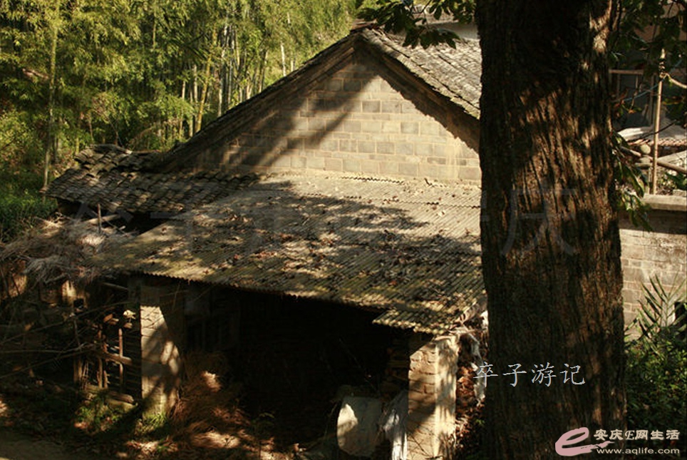 02.jpg