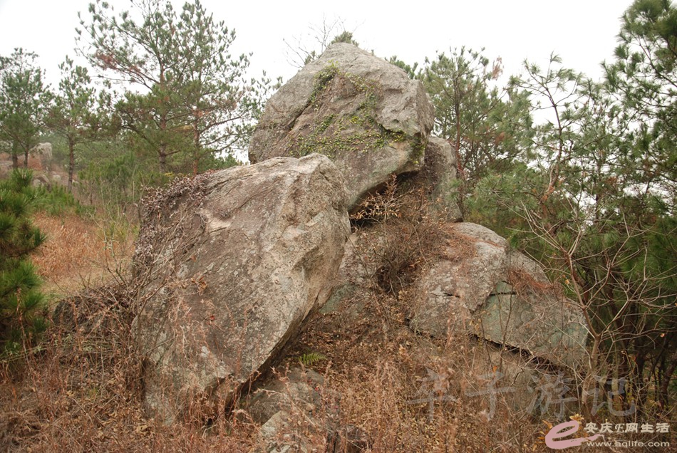 DSC_1642.jpg