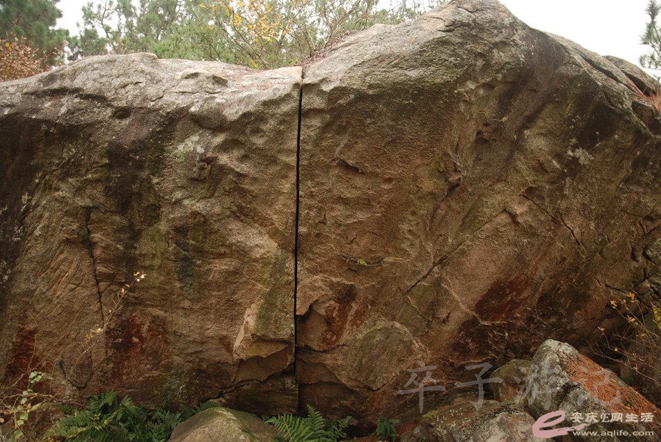 DSC_1647.jpg