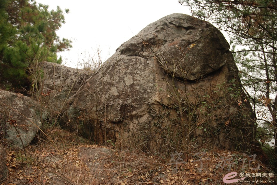 DSC_1667.jpg