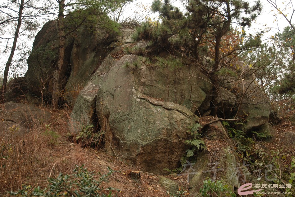 DSC_1688.jpg