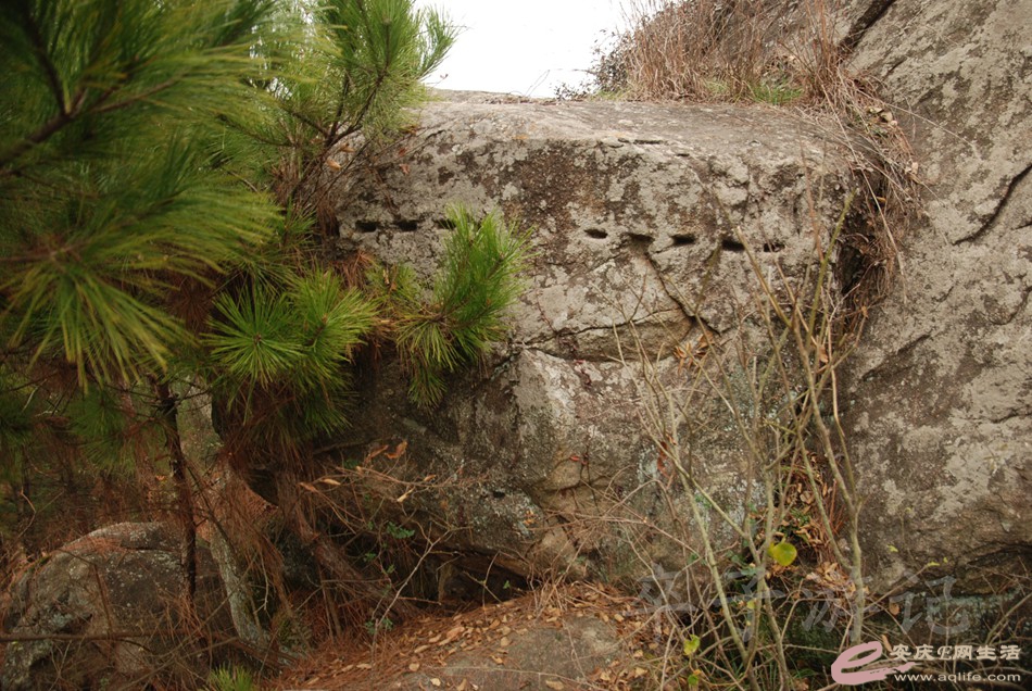 DSC_1662.jpg