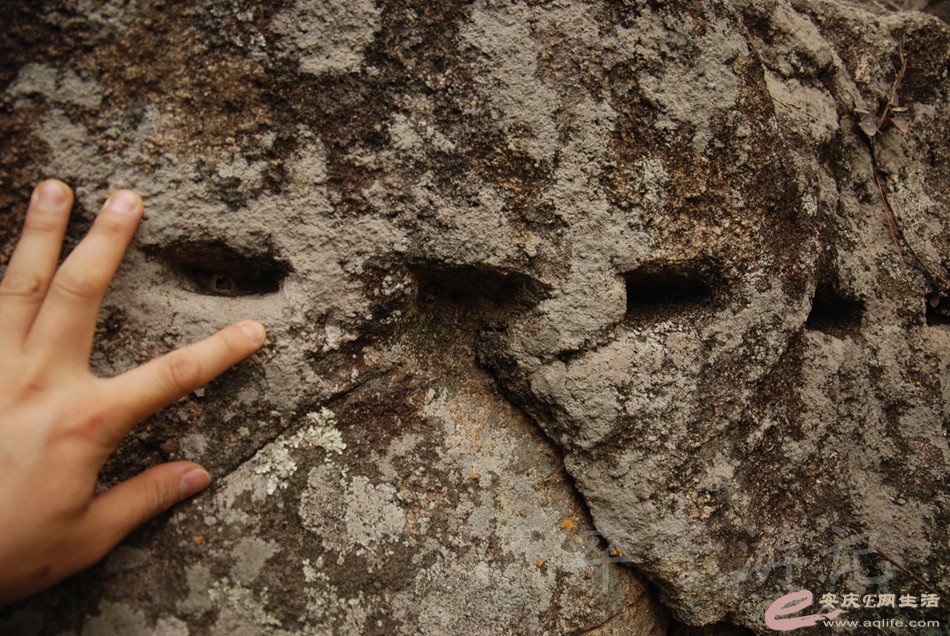 DSC_1664.jpg