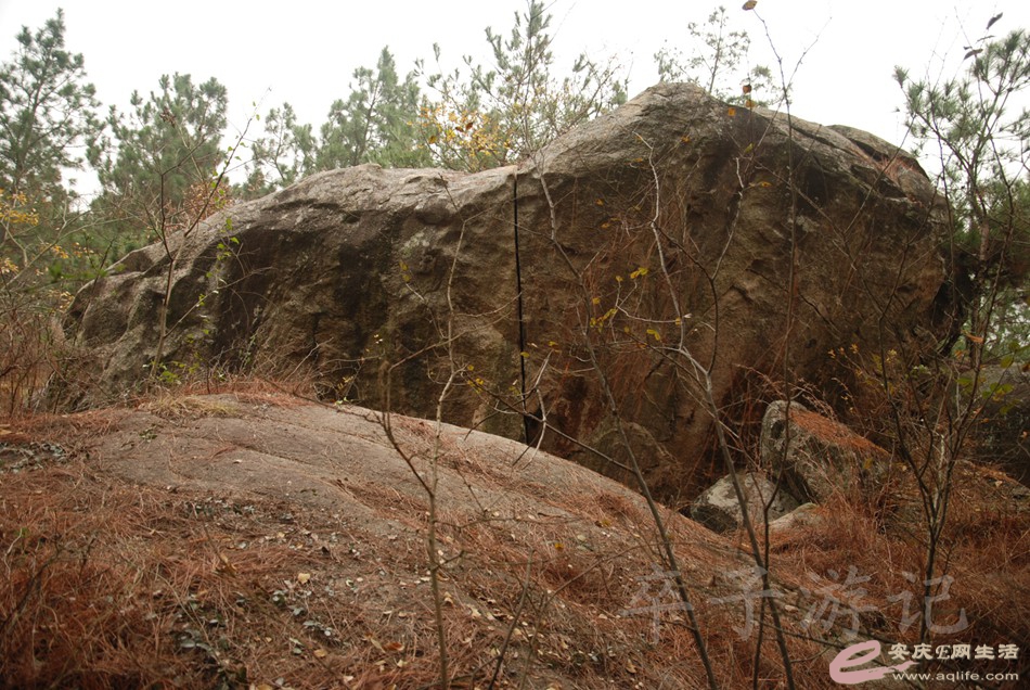DSC_1657.jpg