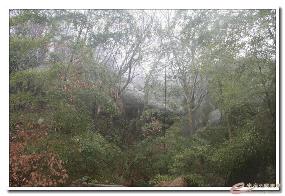 20150314 349.jpg