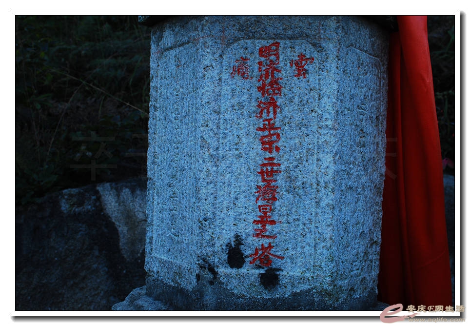 201501001 072.jpg