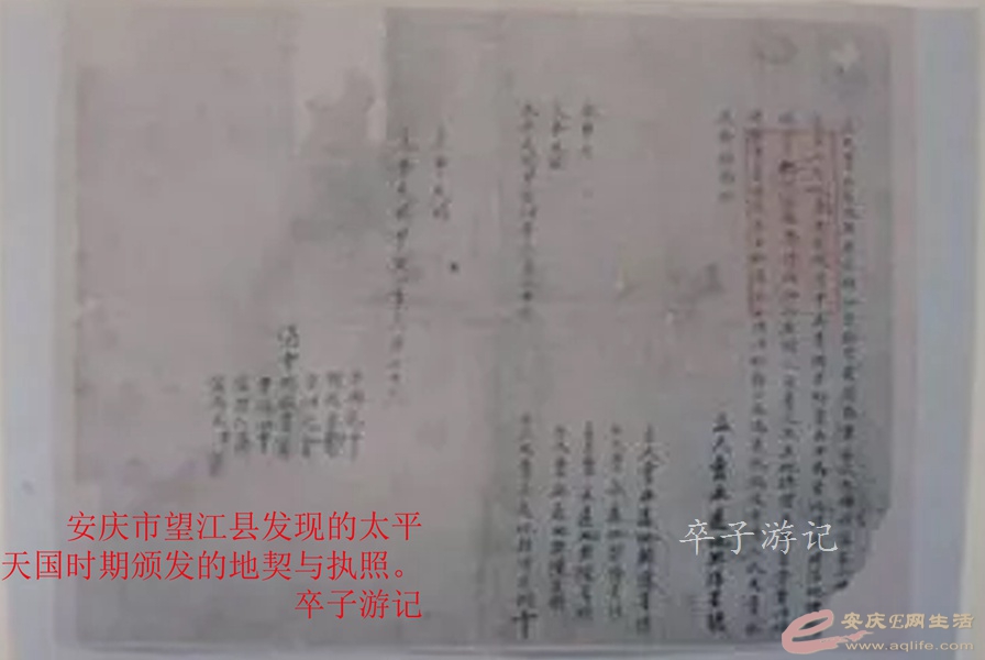 140.jpg