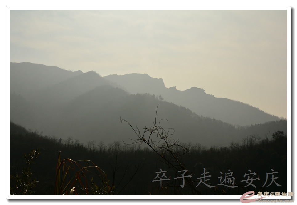 20160116 006.jpg