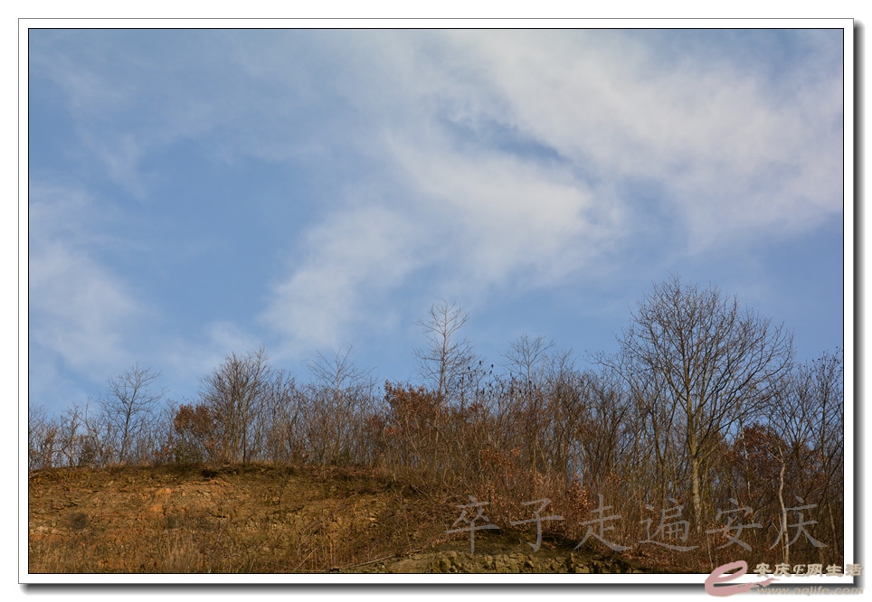 20160116 036.jpg