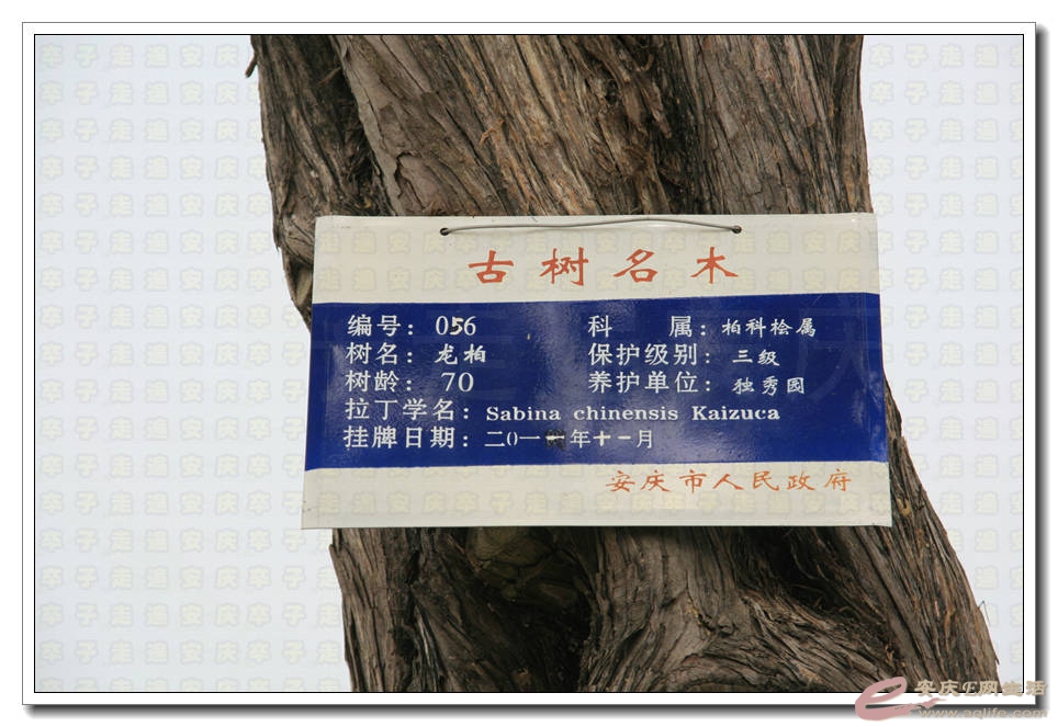 20150510 032.jpg