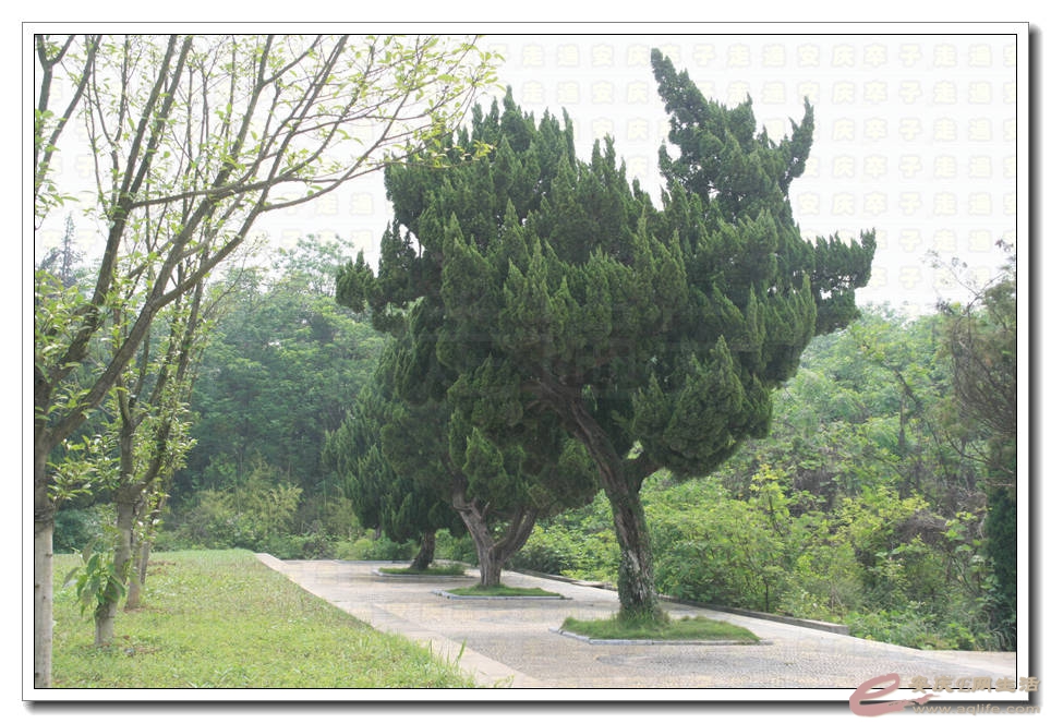 20150510 040.jpg