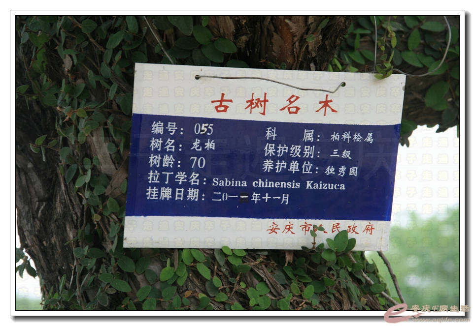 20150510 046.jpg