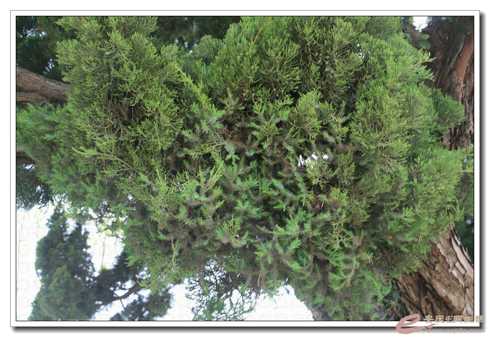 20150510 048.jpg