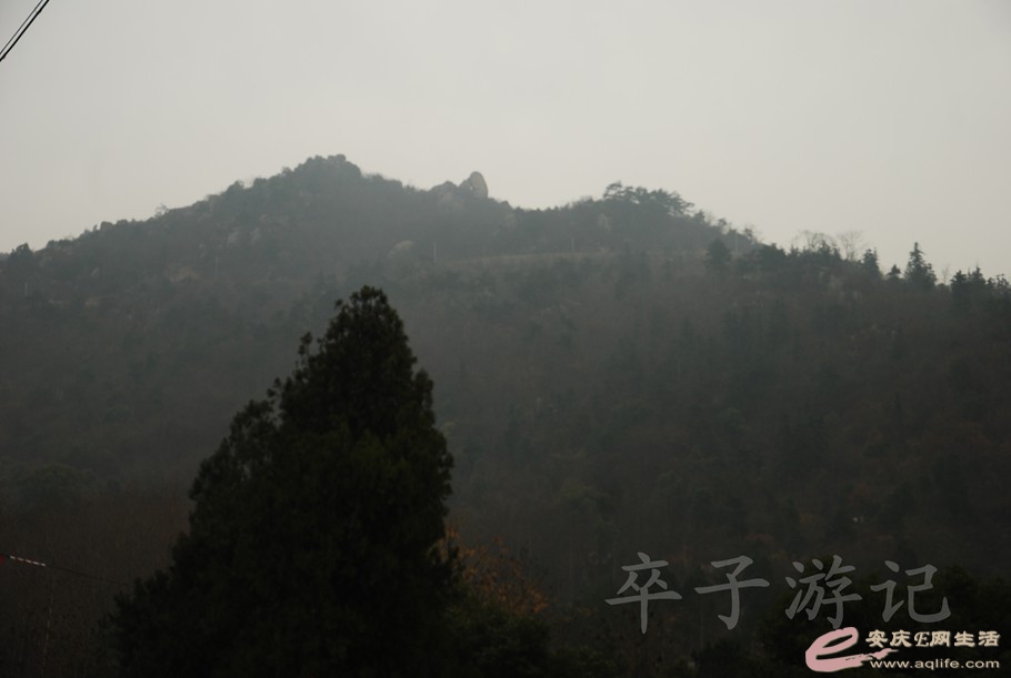 DSC_1835.jpg