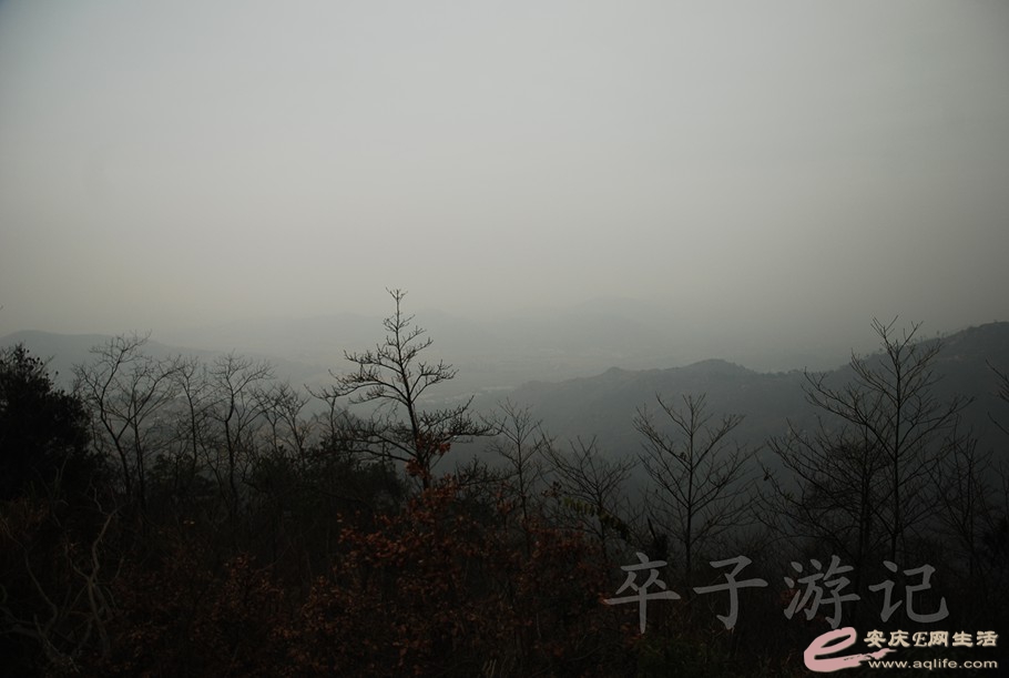 DSC_1837.jpg