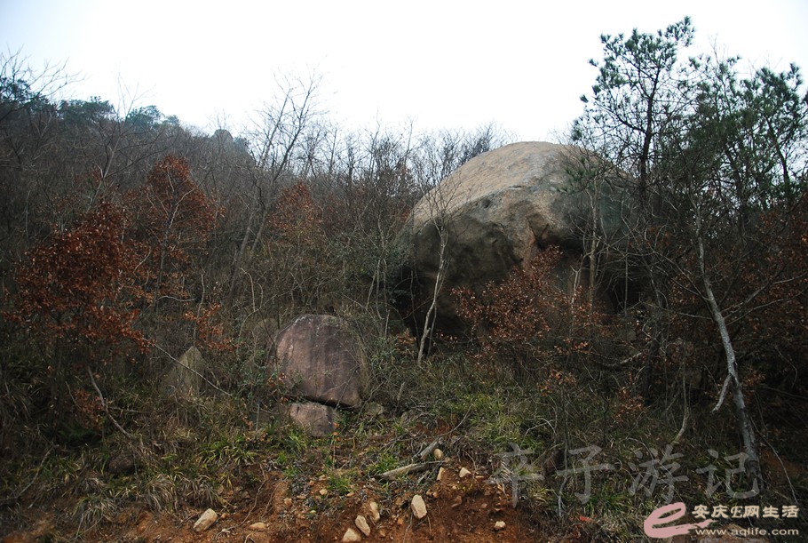 DSC_1839.jpg