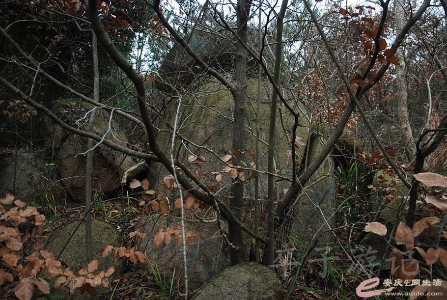 DSC_1848.jpg