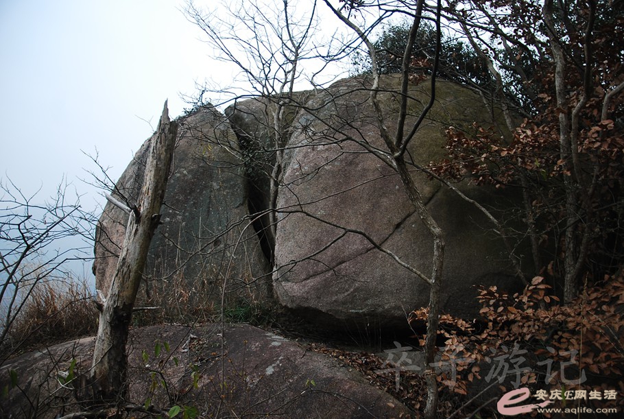 DSC_1850.jpg