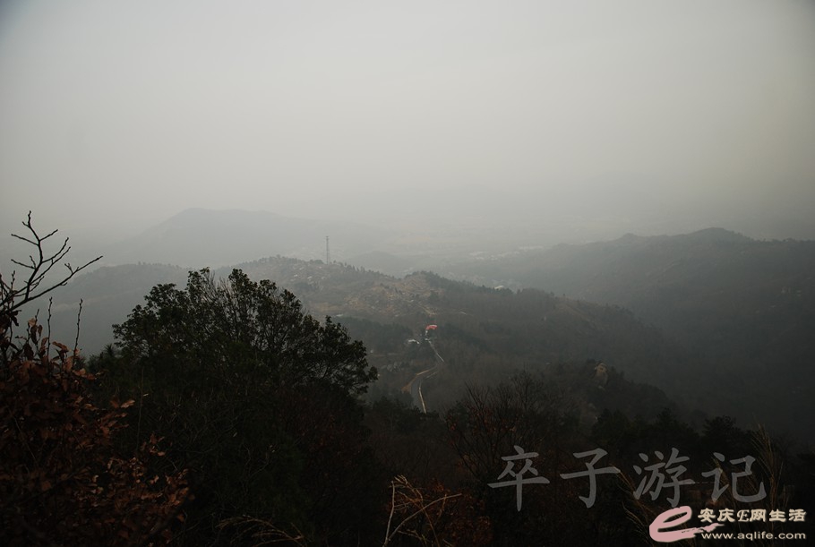 DSC_1852.jpg