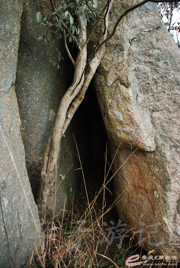 DSC_1858.jpg