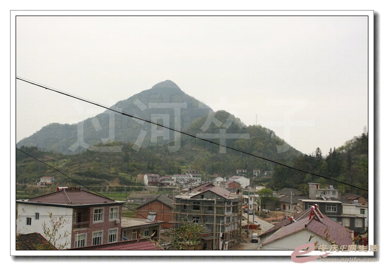 20140406 453.jpg