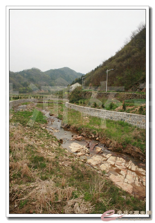 20140406 479.jpg