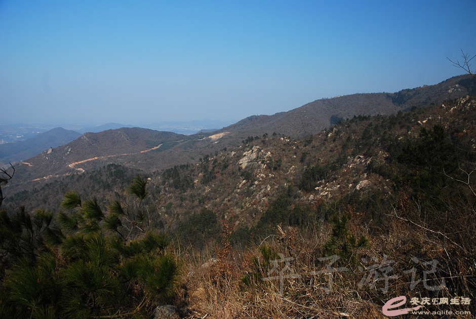 DSC_2193.jpg