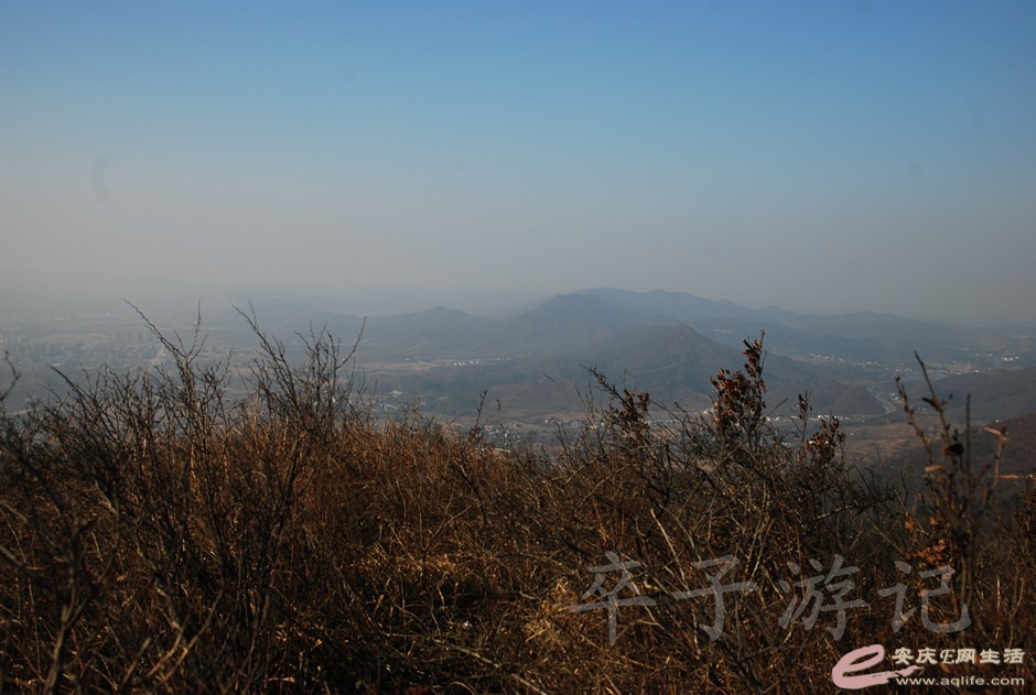 DSC_2208.jpg