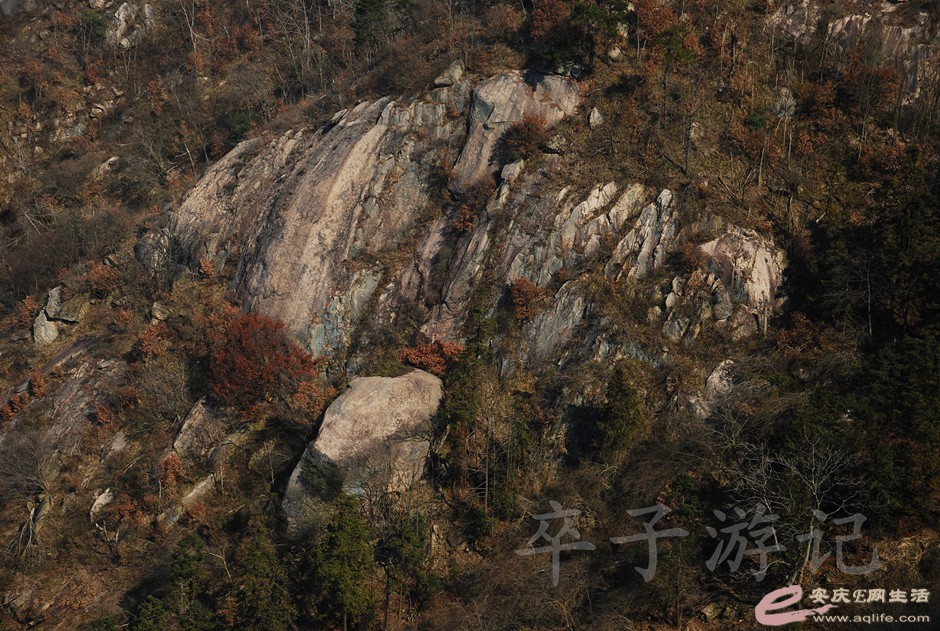 DSC_2216.jpg