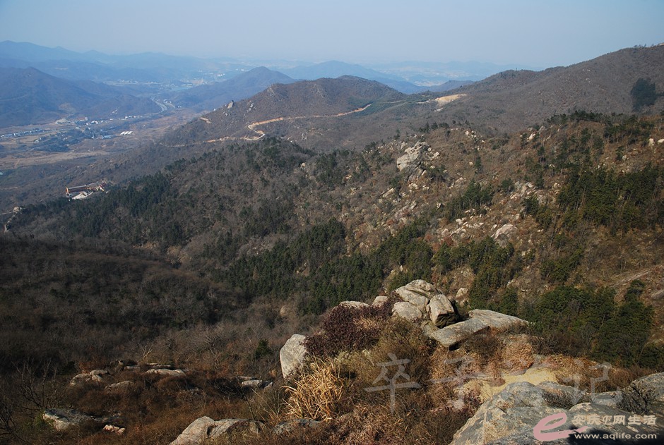 DSC_2236.jpg