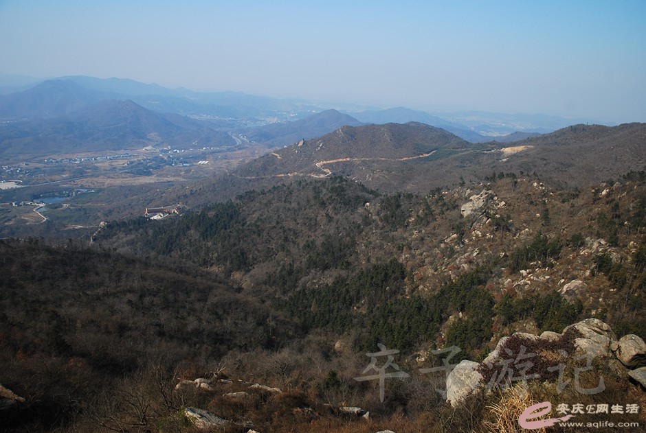 DSC_2242.jpg
