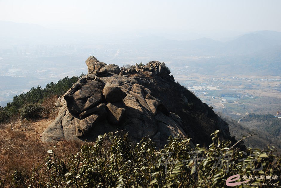 DSC_2274.jpg