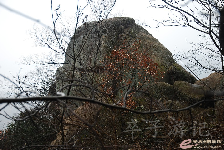 DSC_2386.jpg