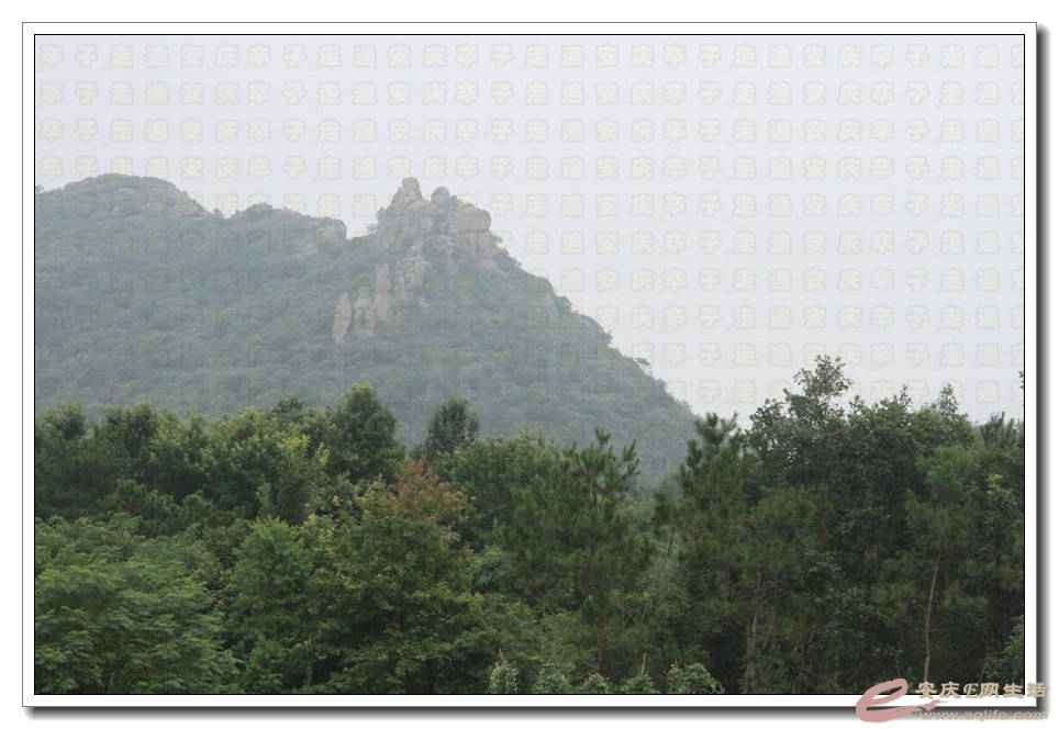 20150718 363.jpg