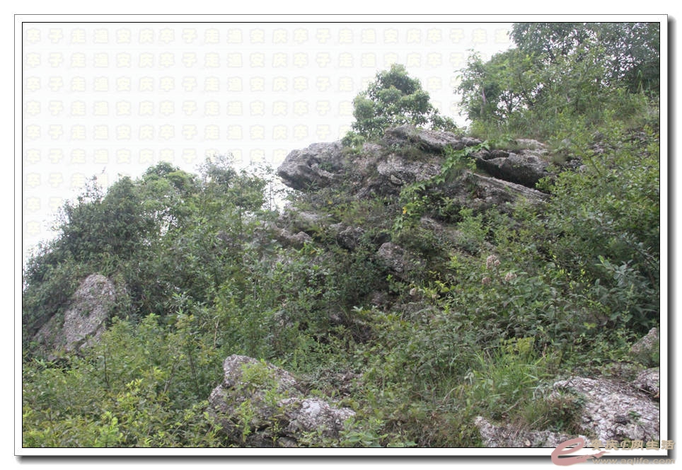 20150718 384.jpg