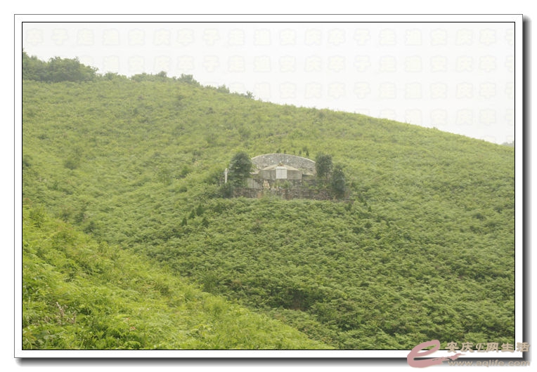 20140628 053.jpg
