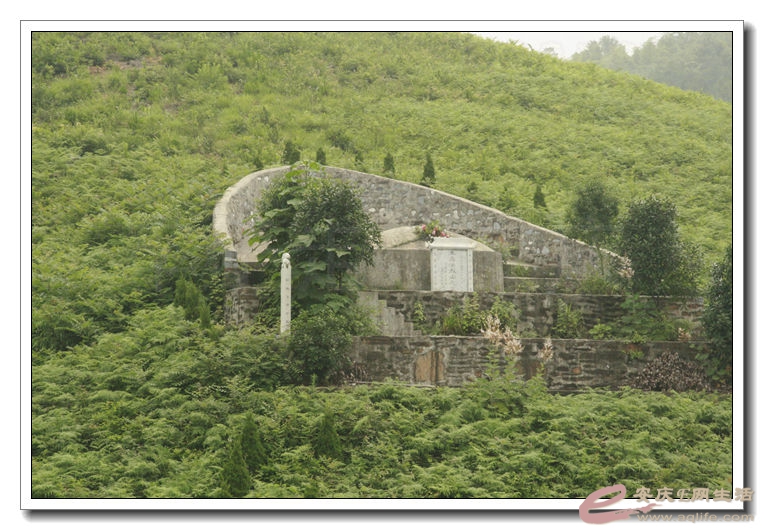 20140628 055.jpg
