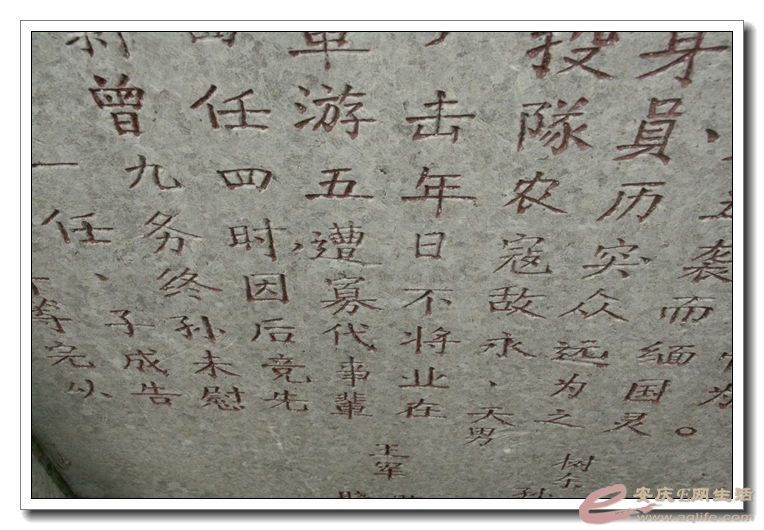 20140628 068.jpg