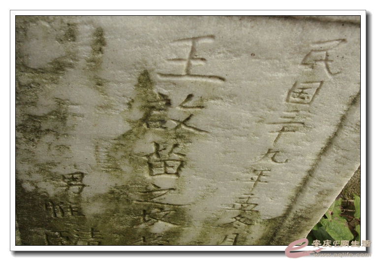 20140628 070.jpg