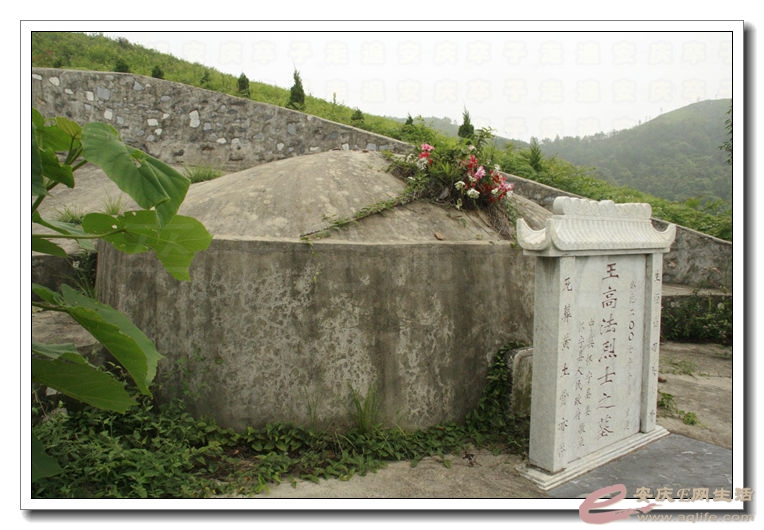 20140628 072.jpg