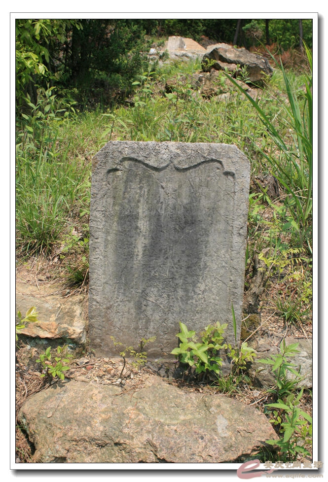 20150412 174.jpg