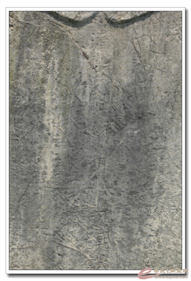 20150412 179.jpg