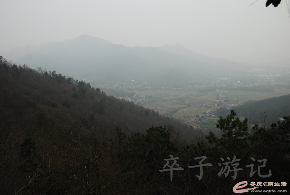DSC_2379.jpg
