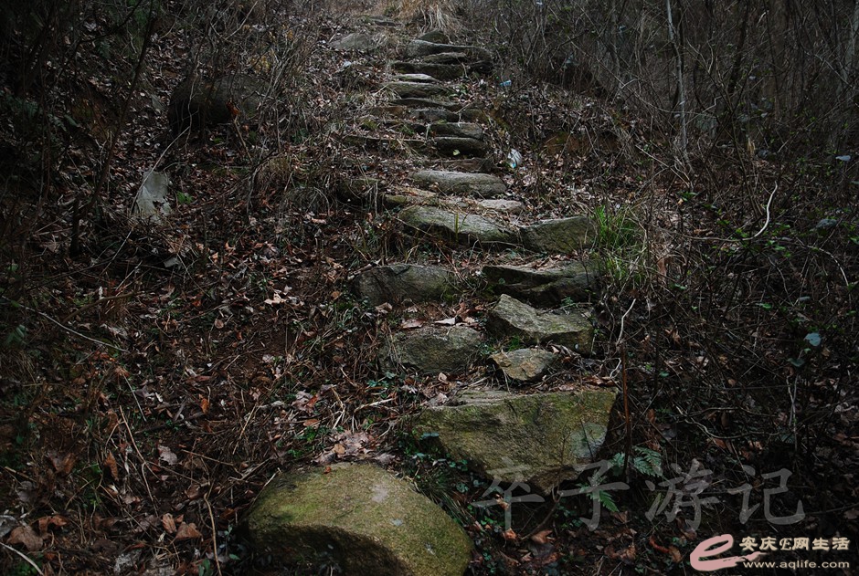 DSC_2450.jpg