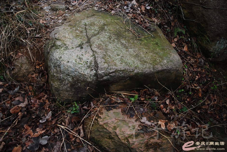 DSC_2454.jpg