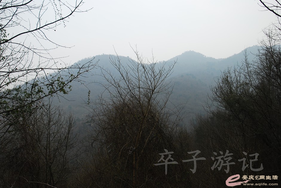 DSC_2458.jpg