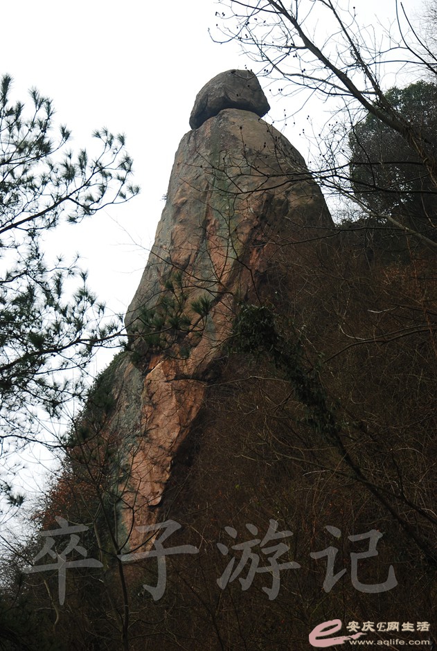 DSC_2499.jpg