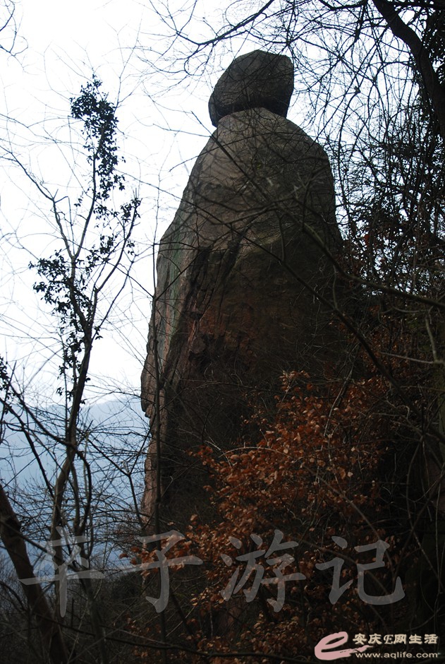DSC_2515.jpg