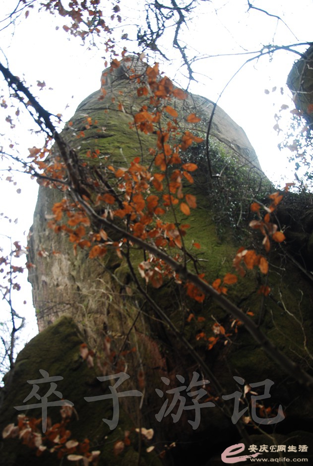 DSC_2517.jpg